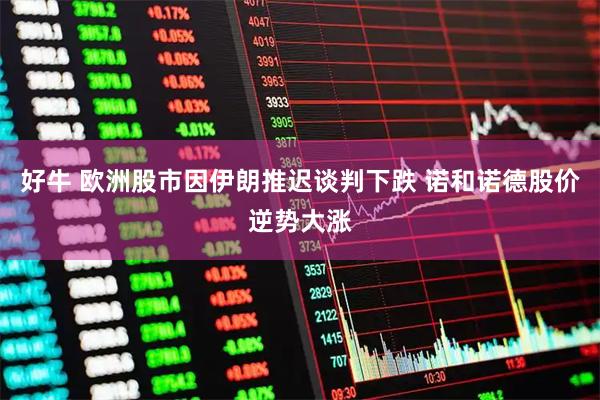 好牛 欧洲股市因伊朗推迟谈判下跌 诺和诺德股价逆势大涨