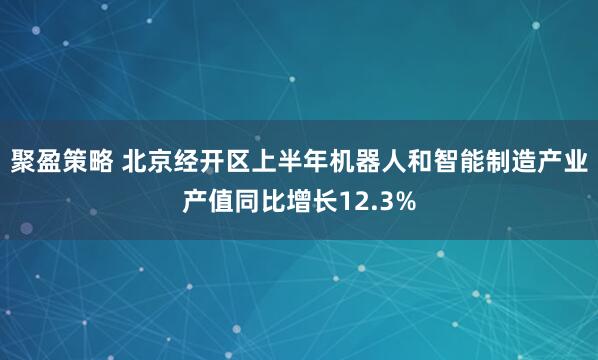 聚盈策略 北京经开区上半年机器人和智能制造产业产值同比增长12.3%