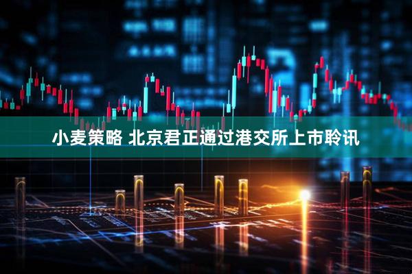 小麦策略 北京君正通过港交所上市聆讯